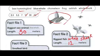 كتاب التدريبات كونكت بلس للصف الرابع الابتدائي Connect Plus Work Book صفحة 10 19 20 