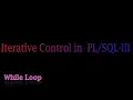 Iterative Control Statements III