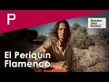 Download Lagu Haarlem Vinylfestival – El Periquin, concert en lezing in de Pletterij in Haarlem