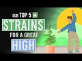 Download Lagu Our Top 5 Weed Strains for a Great High!