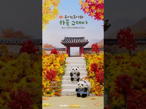 대나무 냄새 찾아 하동까지 와버린 루후🎍