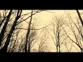 Lily Allen - Somewhere Only We Know lyrics Video