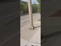 August 14th walk and cycling to 55th elite staffing and downtown Chicago part5