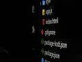 Lesson 1 Git and version control