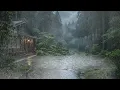 Soft Rain Serenity 🌧️ Rain Sounds for Sommeil Calme & Inner Peace 🌿