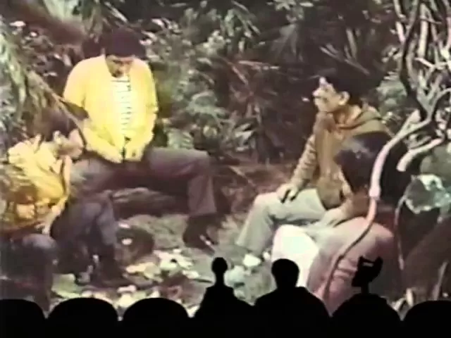 background images