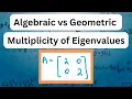 Algebraic vs Geometric Multiplicity of Eigenvalues What Happens if Geometric is Equal to Algebraic