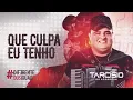 QUE CULPA EU TENHO - Tarcísio do Acordeon - CD Diferente dos Iguais 2021