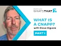 What Is a Cloud-Native Application Protection Platform Cnapp All-in-One Cloud Security Solutions