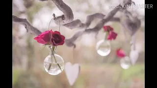 مش هنساها الليلة نسخة دفوف 