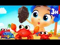 Download Lagu Crab Chase at the Beach! 🦀🌊| Kids Cartoons and Nursery Rhymes