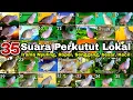 Download Lagu 35 Perkutut, Suara \u0026 irama berbeda menurut kamu mana paling merdu dan langka