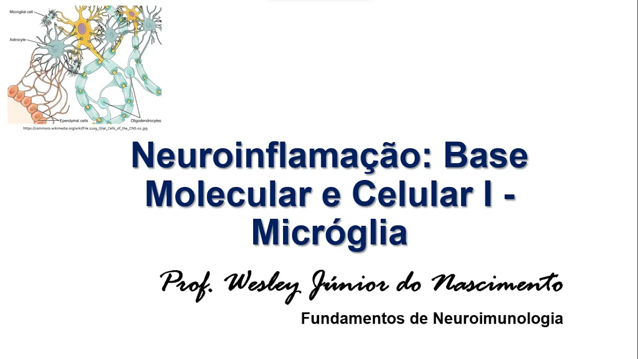 Neuroimunologia -Base Celular e Molecular 1: A Micróglia