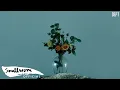 Download Lagu Dept - คงต้องบอกลาแล้ว | Farewell [Official MV]