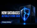 How Databases Actually Store Data on a Hard Drive Explained Simply