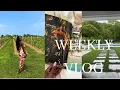 Download Lagu MOVING TO THE HAMPTONS? WINE TASTING, SHOPPING \u0026 MORE
