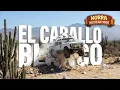 El Caballo Blanco Tames the Wild Desert at the 2025 NORRA Mexican 1000