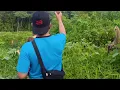 Download Lagu Perjalanan menuju desa baruang Barsel memetik lombok di ladang.