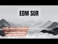 EDM SUR - música electrónica - E2 - electronic music mix
