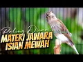 Download Lagu MATERI ISIAN MEWAH JAWARA - MASTERAN KENARI ISIAN BLACKTHROAT GACOR NGEROL PANJANG KESUKAAN JURI