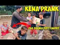Lagu Kasih Kejutan Merpati Pas Dibuka Pipit Emprit || Sampai Bilang Pembohong Anaknya