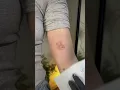 cute tiny fineline teddy bear tattoo