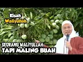 Download Lagu Kisah Waliyullah \