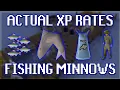 Actual XP Rates for Fishing Minnows in OSRS