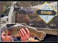 NC Wildlife TROUT Stocking BROOD