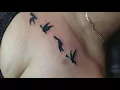 Pajaritos volando tatuaje en pecho por Boris Kuryakin primer set Marzo 11 2018