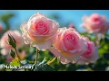 Download Lagu AUTUMN IS BACK 🌺Autumn has arrived🌺This music can be listened to forever🌿Sergey Grischuk