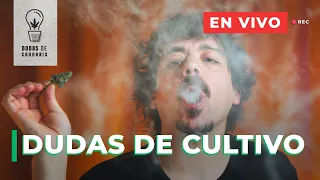LIVE: RESPONDIENDO DUDAS