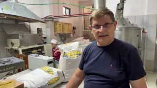 Si Të Ushqejmë Bletët Pa Polen? | Dr. Pëllumb Aleksi