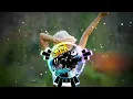 Download Lagu DJ.CINTA TERLARANG_NAZIA MARWIANA_RAMLAN VIRAL TIKTOK