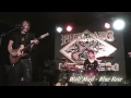 Wolf Mail - Blue Rose