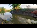 Download Lagu Spot tersembunyi‼️ ternyata di parit sebelah sini masih banyak airnya