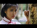 忘盡心中情 - 葉振棠；作詞: 黃霑；作曲: 顧嘉輝；編曲: 顧嘉輝；1982年無綫電視劇《蘇乞兒》主題曲 （HDCD)