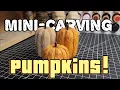 Carve with Me Mini Pumpkins Simple Tutorial