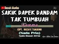 Lagu SAKIK DAPEK DANDAM TAK TUMBUAH Karaoke - FAUZANA | Nada Pria (Dis) | Audio HD