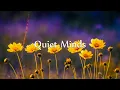 Smile Softly Breathe Deep Let Go Gentle Piano Music for Quiet Minds Inner Peace