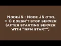 NodeJS Node JS ctrl C doesn t stop server after starting server with npm start