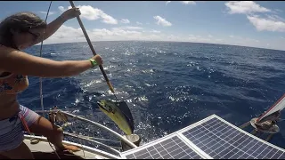 E54: Catching and Drying Mahi Underway in the Pacific