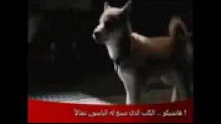 موسيقى حزينه جدآ مع قصة الكلب الوفي ستجعلك تبكي 