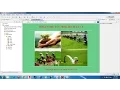 How to Create a Web Application with Eclipse IDE