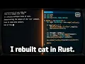 cat is 1 line of C Here s what happens in Rust