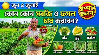 জুন জুলাই মাসে কোন কোন সবজি চাষ করবেন | বর্ষাকালীন সবজি চাষের নিয়ম | Monsoon Vegetables | বেগুন মরিচ