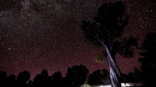 Amazing Campsite – Baja or Bust 24