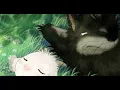 Download Lagu Arashi no Yoru Ni FULL MOVIE (1080p)
