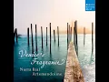 Mandolin Concerto in C Major, RV 425 ; P.134 ; F.V.1: I. Allegro