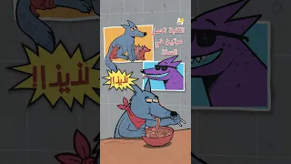 كيف تنجو من كمين الكلاب الضالة  وكيف وصل عدد الكلاب لملايين في مصر والمغرب  دندنها